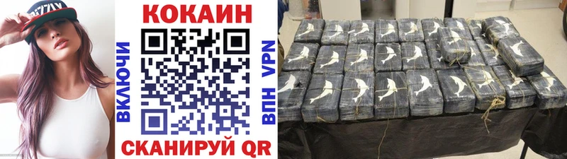 купить закладку  Новая Ладога  мега вход  COCAIN 99% 