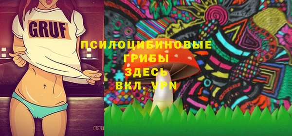spice Аркадак