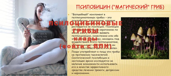 мяу мяу мука Арсеньев