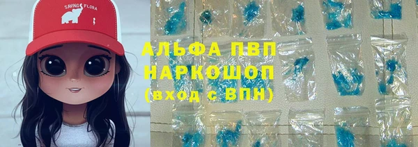 spice Аркадак